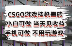 CSGO游戏挂G搬砖，小白纯手机即可操作，不用电脑打游戏，日入3张+，副业网创项目【揭秘】-rose网创