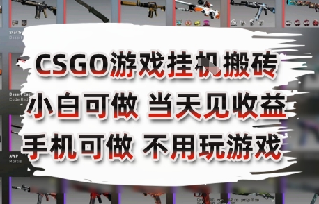 CSGO游戏挂G搬砖，小白纯手机即可操作，不用电脑打游戏，日入3张+，副业网创项目【揭秘】-rose网创