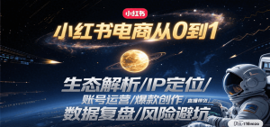 小红书电商从0到1：生态解析/IP定位/ 账号运营/爆款创作/直播带货/数据复盘/风险避坑-rose网创