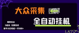 大众采集全自动玩法，新手小白轻松一天5张+，操作简单零成本【揭秘】-rose网创