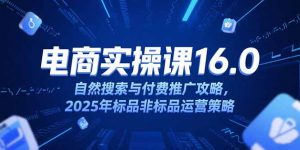 淘宝电商运营课16.0，自然搜索与付费推广攻略，2025年标品非标品运营策略-rose网创