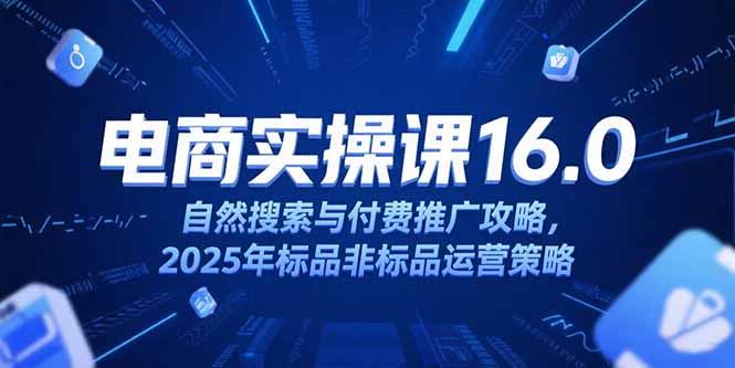 淘宝电商运营课16.0，自然搜索与付费推广攻略，2025年标品非标品运营策略-rose网创