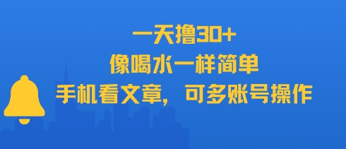 一天撸30+，像喝水一样简单，手机看文章，可多账号操作-rose网创
