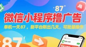 微信小程序看广告，单机一天87，新平台刚出几天，可批量操作，日入5张-rose网创