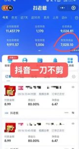 抖音短视频一刀不剪带货,不剪辑,不直播,每天发个视频,等着出单获取带货佣金-rose网创