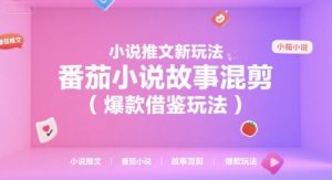 小说推文新玩法，番茄小说故事混剪(爆款借鉴玩法)-rose网创