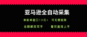 亚马逊全自动采集,单机单窗口一天10+,可无限矩阵去做【揭秘】-rose网创