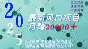 2025广告赛道新风口-月赚2W+玩法简单,时间自由-rose网创