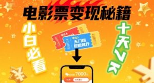 小白必看!卖电影票项目,零投入无门槛谁都能做,十天到手 7k,照做就行【揭秘】-rose网创
