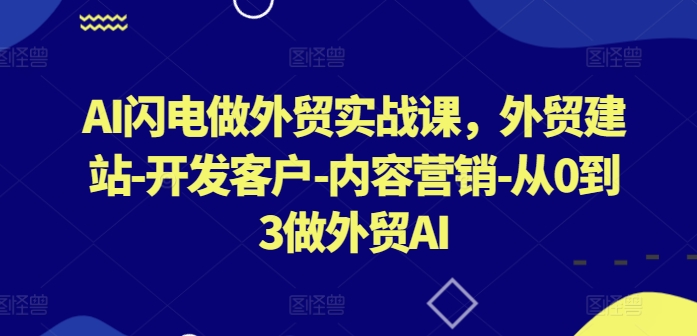 AI闪电做外贸实战课,外贸建站-开发客户-内容营销-从0到3做外贸AI(更新)-rose网创