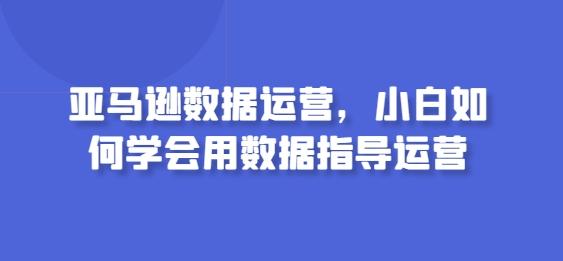 亚马逊数据运营，小白如何学会用数据指导运营-rose网创