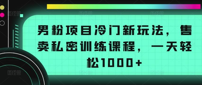 男粉项目冷门新玩法，售卖私密训练课程，一天轻松1000+【揭秘】-rose网创