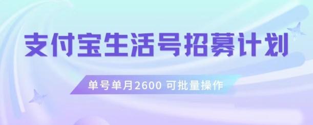 支付宝生活号作者招募计划，单号单月2600，可批量去做，工作室一人一个月轻松1w+【揭秘】-rose网创