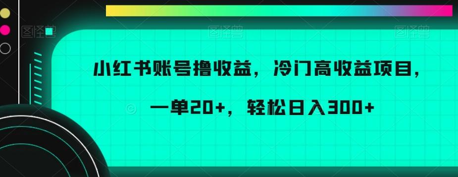 小红书账号撸收益，冷门高收益项目，一单20+，轻松日入300+【揭秘】-rose网创