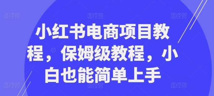 小红书电商项目教程,保姆级教程,小白也能简单上手