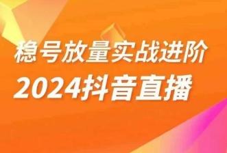 稳号放量实战进阶—2024抖音直播，直播间精细化运营的几大步骤-rose网创