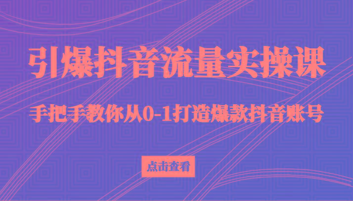 引爆抖音流量实操课，手把手教你从0-1打造爆款抖音账号(27节课)-rose网创