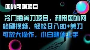 冷门撸美刀项目,利用国外网站刷视频,轻松日入80+美刀,可放大操作,小白随便上手-rose网创