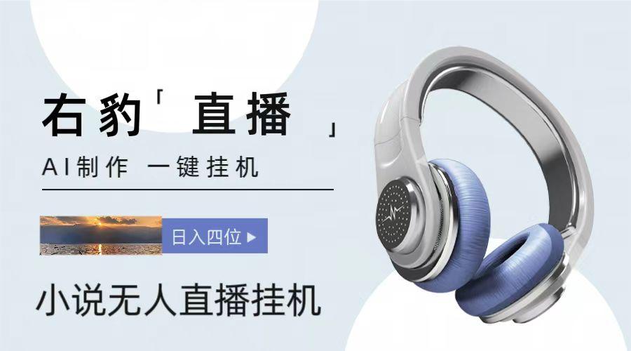 右豹小说无人直播挂机吸金项目，简单易行收益稳定， 月入1000+-rose网创