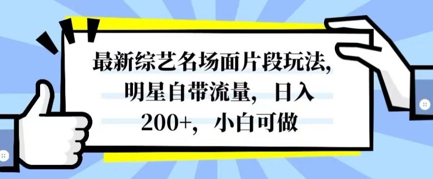 最新综艺名场面片段玩法,明星自带流量,日入200+,小白可做【揭秘】-rose网创