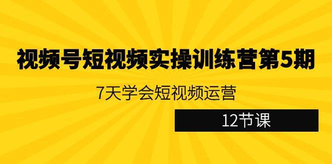 视频号短视频实操训练营第5期：7天学会短视频运营(12节课)-rose网创