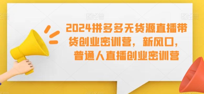 2024拼多多无货源直播带货创业密训营,新风口,普通人直播创业密训营-rose网创