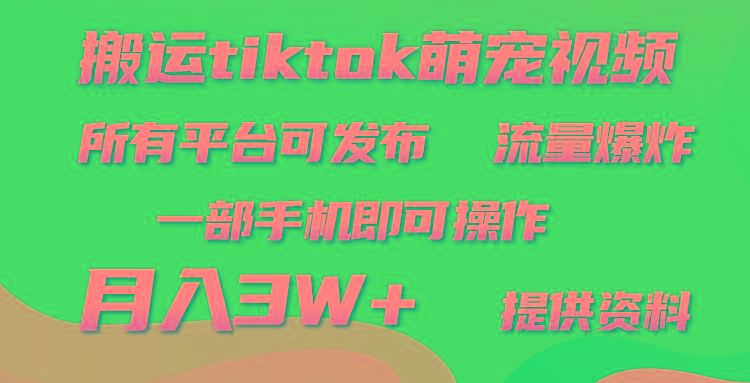 (9618期)搬运Tiktok萌宠类视频，一部手机即可。所有短视频平台均可操作，月入3W+-rose网创
