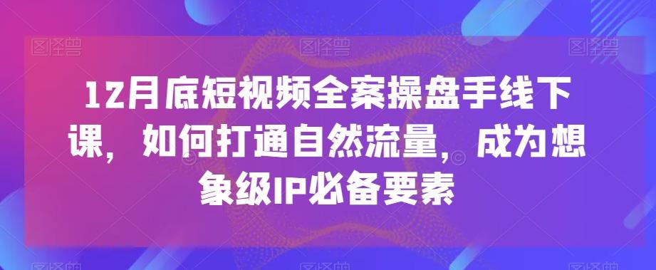 12月底短视频全案操盘手线下课，如何打通自然流量，成为想象级IP必备要素-rose网创
