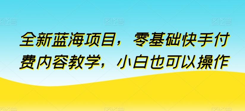 全新蓝海项目，零基础快手付费内容教学，小白也可以操作【揭秘】-rose网创