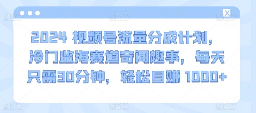 2024视频号流量分成计划，冷门监海赛道奇闻趣事，每天只需30分钟，轻松目赚 1000+【揭秘】-rose网创