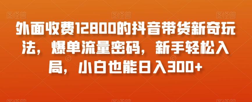 外面收费12800的抖音带货新奇玩法，爆单流量密码，新手轻松入局，小白也能日入300+【揭秘】-rose网创