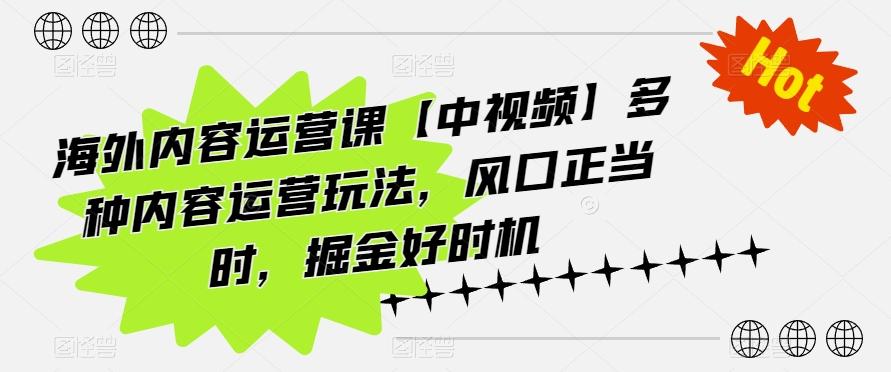 海外内容运营课【中视频】多种内容运营玩法,风口正当时,掘金好时机-rose网创
