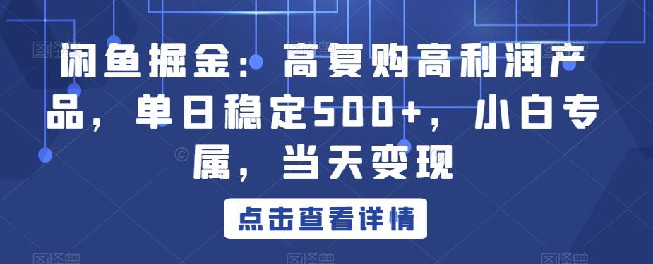 闲鱼掘金：高复购高利润产品，单日稳定500+，小白专属，当天变现-rose网创