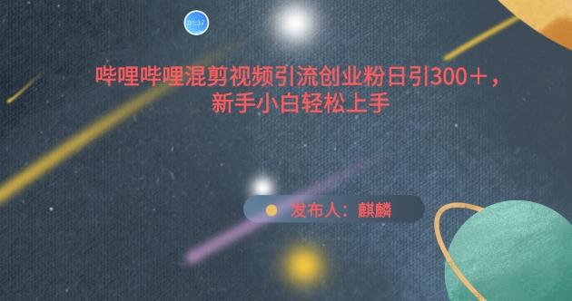 哔哩哔哩混剪视频引流创业粉日引300+，新手小白轻松上手【揭秘】-rose网创