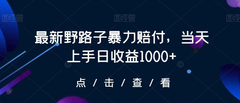 最新野路子暴力赔付，当天上手日收益1000+【仅揭秘】-rose网创