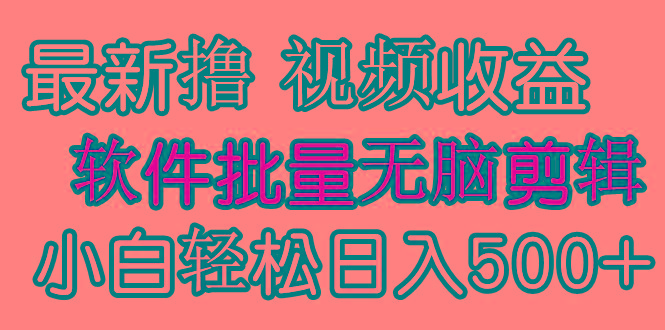(9569期)发视频撸收益，软件无脑批量剪辑，第一天发第二天就有钱-rose网创