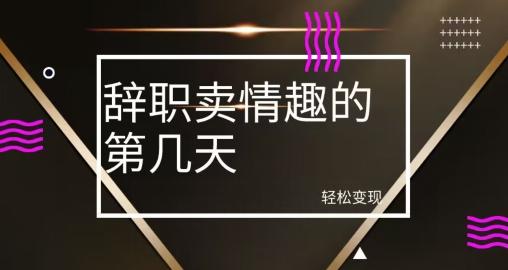 冷门赛道，辞职卖情趣的第几天，超暴力项目-rose网创