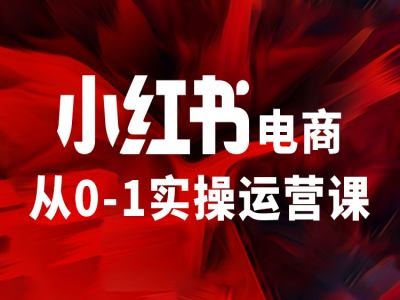 小红书电商从0-1实操运营课，让你从小白到精英-rose网创