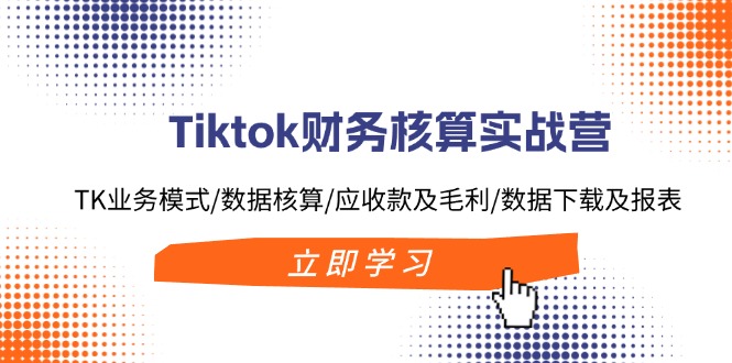 Tiktok财务核算实战营：TK业务模式/数据核算/应收款及毛利/数据下载及报表-rose网创