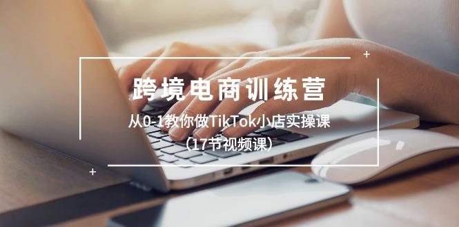 跨境电商训练营：从0-1教你做TikTok小店实操课(17节视频课-rose网创