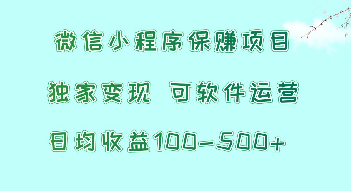 微信小程序保赚项目，日均收益100~500+，独家变现，可软件运营-rose网创