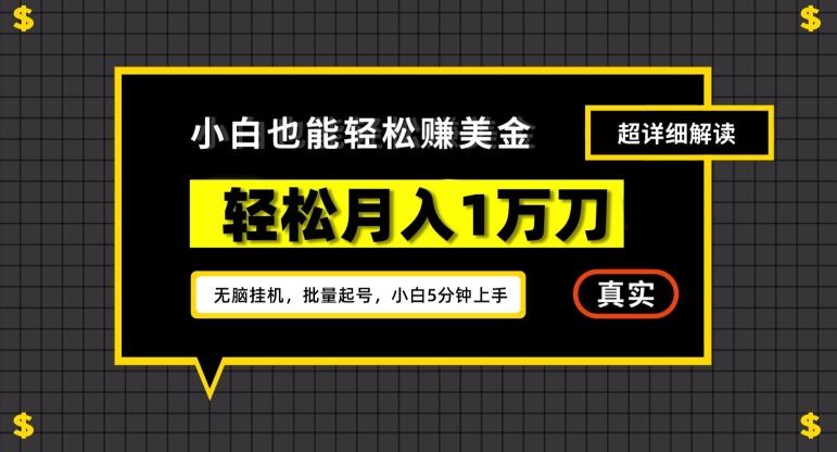 谷歌看广告撸美金2.0，无脑挂机，多号操作，月入1万刀【揭秘】-rose网创