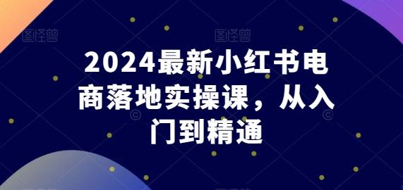 2024最新小红书电商落地实操课,从入门到精通-rose网创