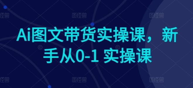 Ai图文带货实操课，新手从0-1 实操课-rose网创