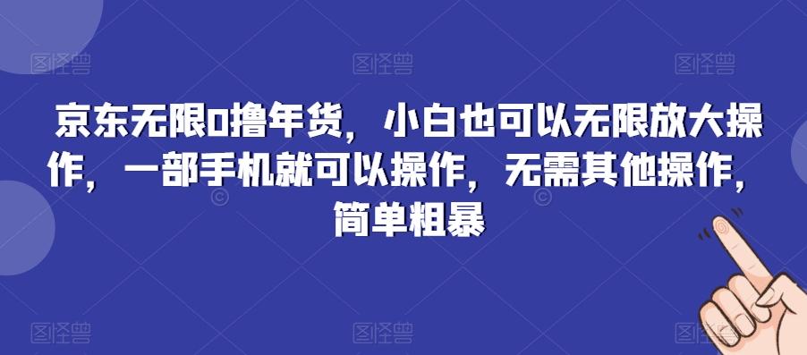 京东无限0撸年货，小白也可以无限放大操作，一部手机就可以操作，无需其他操作，简单粗暴-rose网创