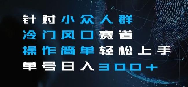 针对小众人群冷门风口赛道,操作简单轻松上手单号日入300+-rose网创