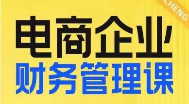 电商企业财务管理线上课,为电商企业规划财税-rose网创