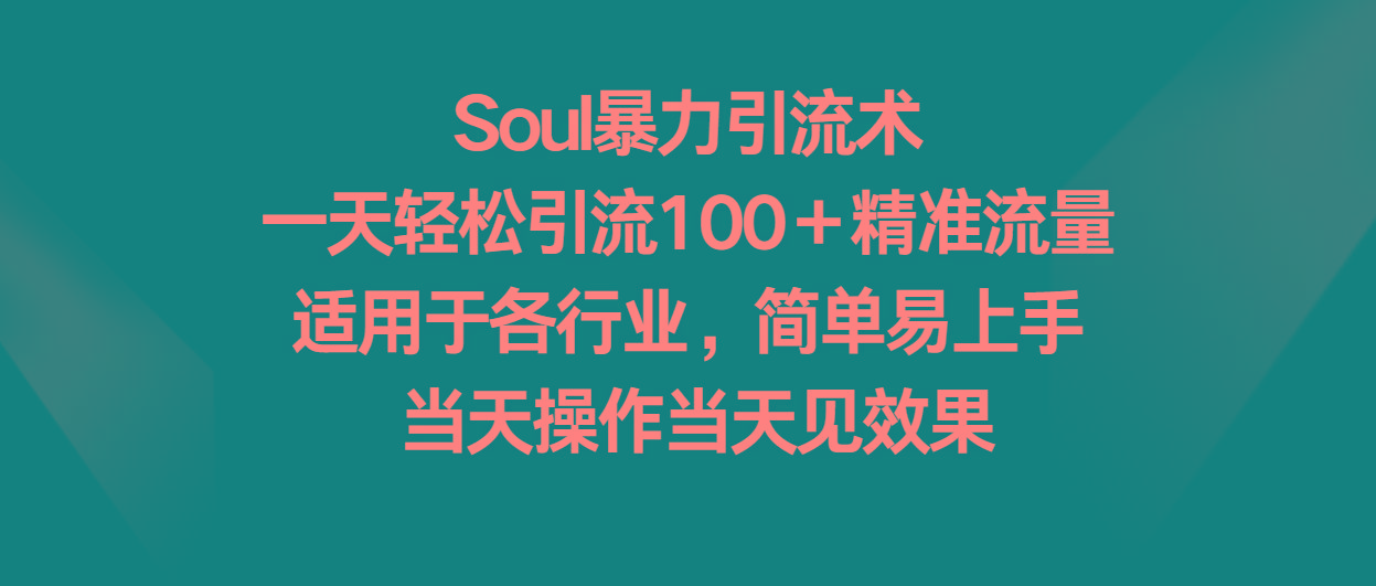 Soul暴力引流术，一天轻松引流100＋精准流量，适用于各行业，简单易上手！-rose网创