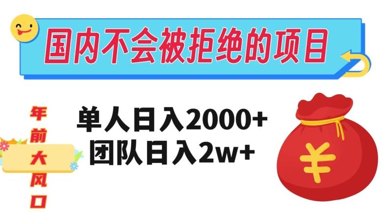在国内不怕被拒绝的项目，单人日入2000，团队日入20000+【揭秘】-rose网创