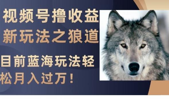 视频号撸收益新玩法之狼道，目前蓝海玩法，轻松月入过万【揭秘】-rose网创